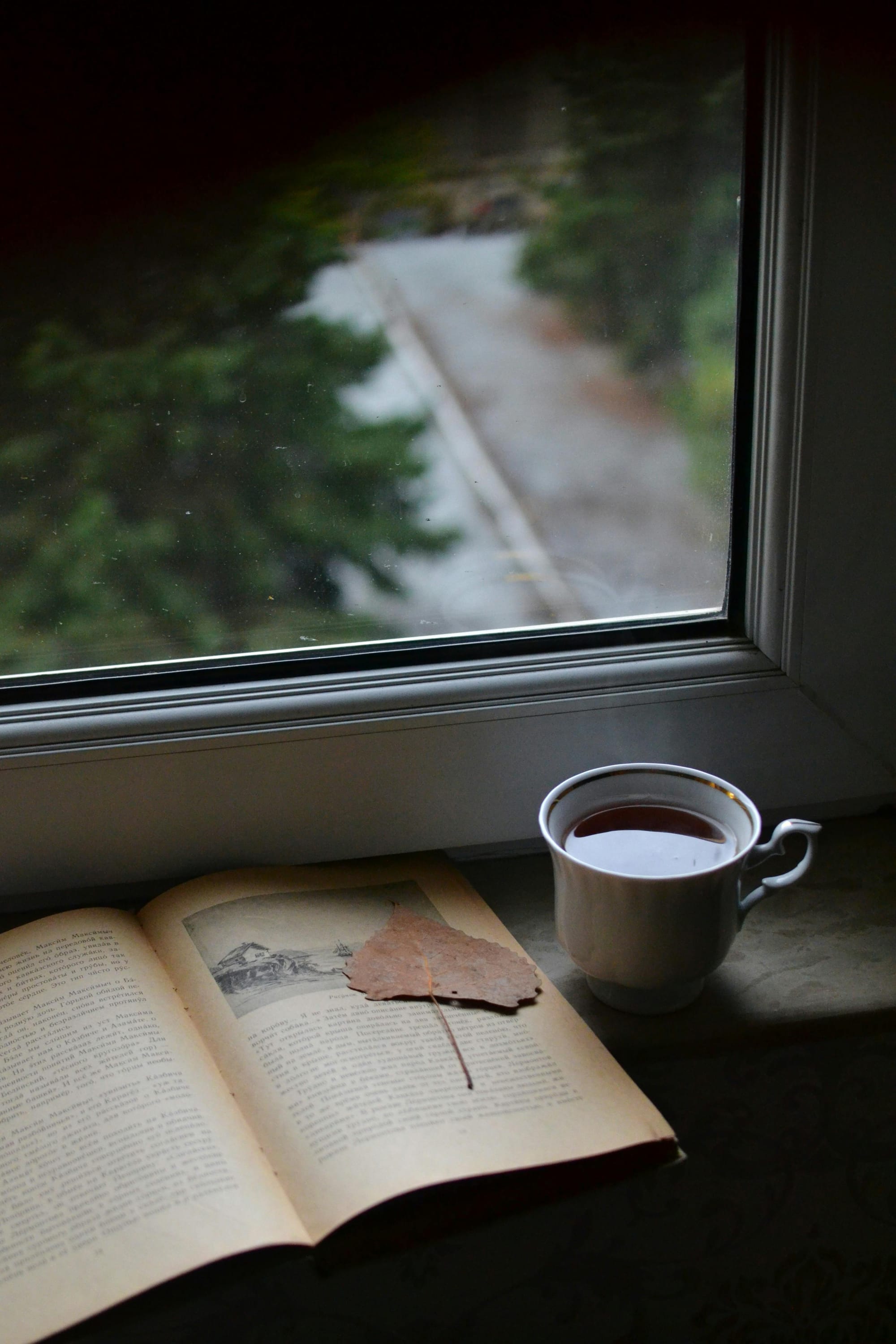 Cup of tea and open book on windowsill overlooking rainy street and trees.