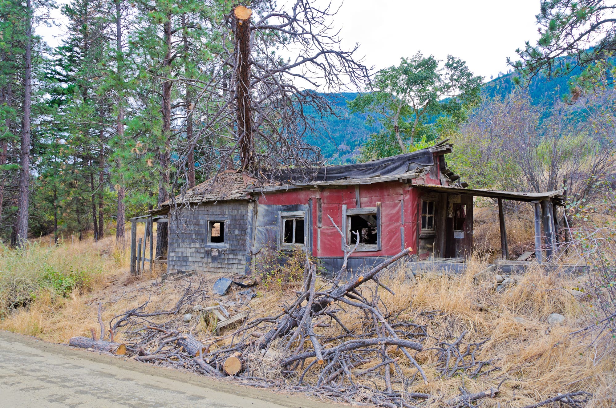 Abandoned wooden house in forest with broken windows, missing roof sections, leaning walls, and scattered logs, surrounded by pine trees and mountains in the background.