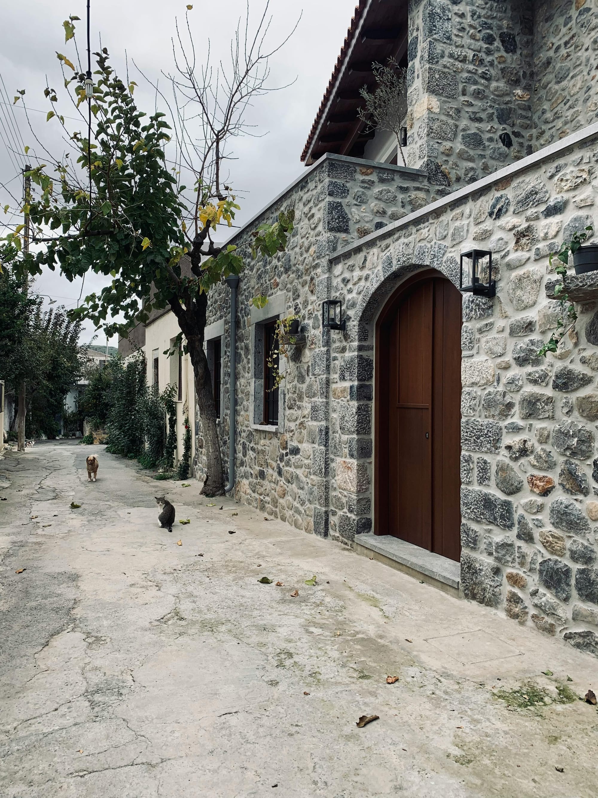 Quiet stone alley with rustic buildings, arched wooden door, lanterns, and a dog and cat walking under an overcast sky.