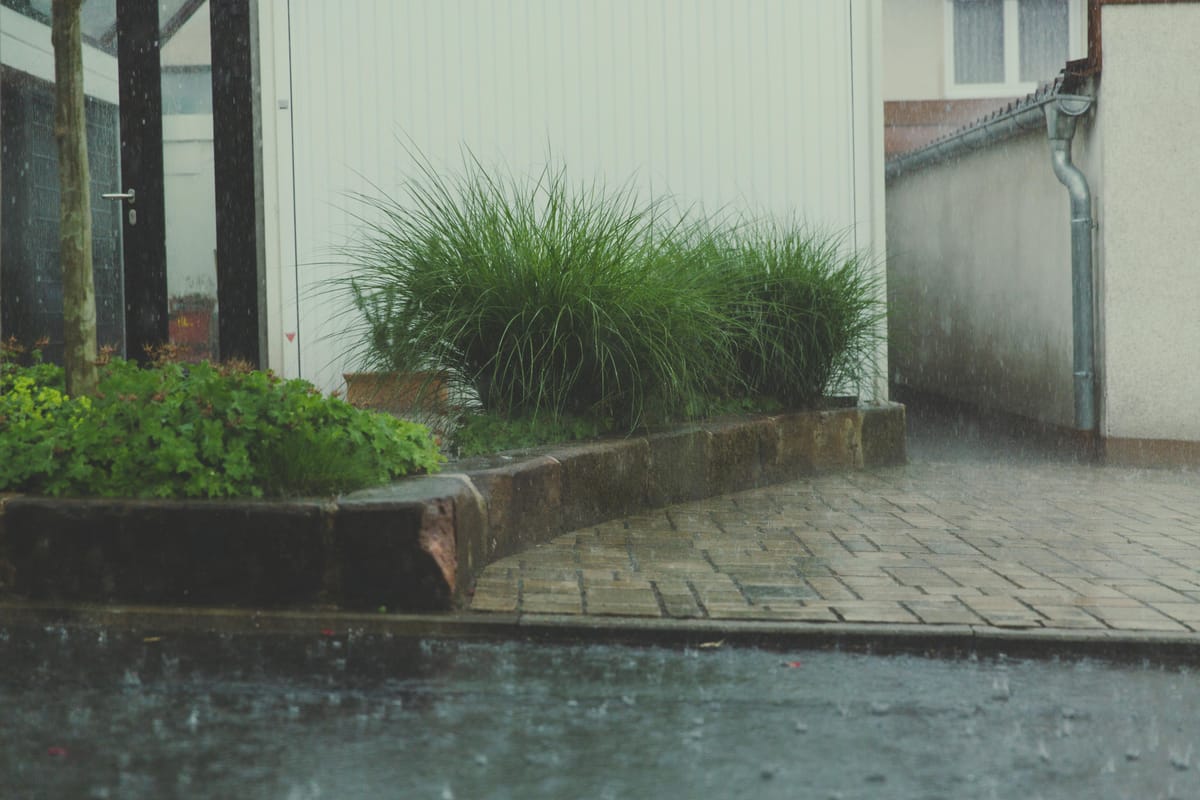 Rain falling on a residential walkway with garden beds and white siding buildings in view.