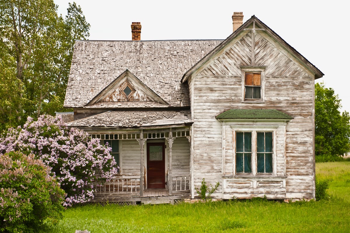 Old wooden house with peeling paint, broken windows, and a deteriorating roof, contrasted by a blooming lilac bush in front, set in a rural grassy area with trees.
