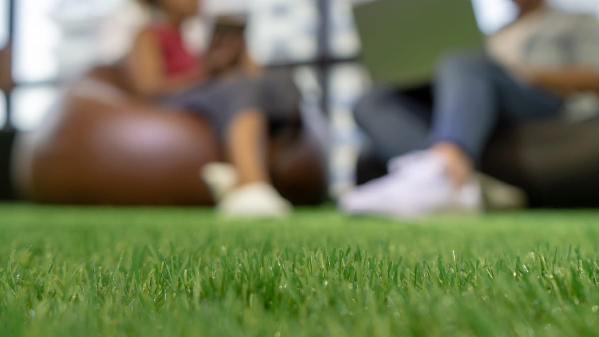 Planning Synthetic Turf for Bay Area Yards