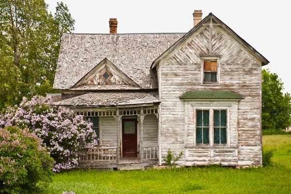 Old wooden house with peeling paint, broken windows, and a deteriorating roof, contrasted by a blooming lilac bush in front, set in a rural grassy area with trees.